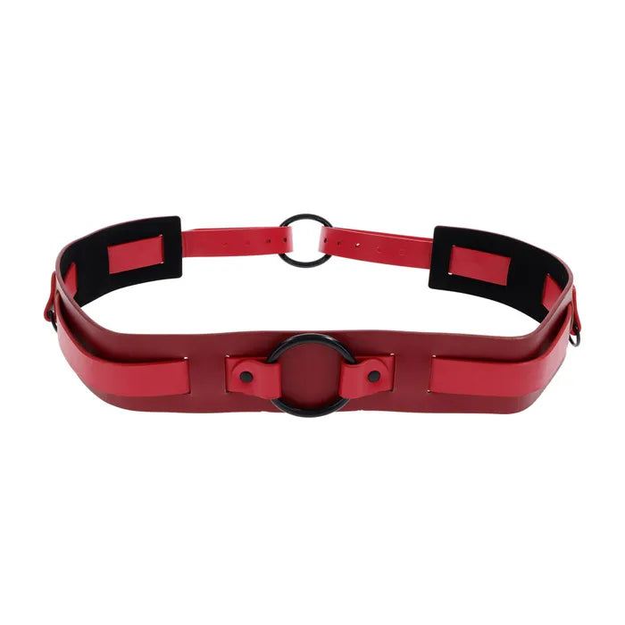 S&M Exs & Ohs Bound and Belted Bondage Collar Secondary image