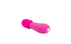 Rose Petite Massage Body Wand Vibrator Pink