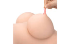 Daytona Helen Hot Female Love Torso With Head Daytona