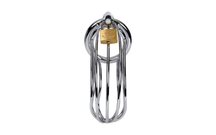 ToyFA Metal Silver Metal Birdcage Cock Cage ToyFA Main image