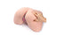 Daytona Jemma Doggy Style Big Butt Male Masturbator Daytona