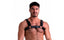Sport Fucker Vegan Bulldog BDSM Play Harness Black Sport Fucker