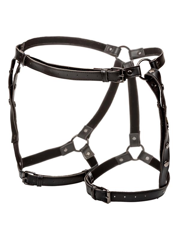 Euphoria Collection Plus Size Riding Thigh Harness CalExotics