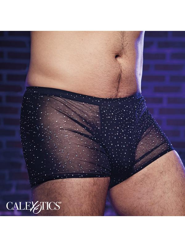 Radiance Boxer Briefs CalExotics Main image