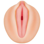 Evolved Alexis Texas Realistic Vagina Stroker