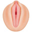 Evolved Alexis Texas Realistic Vagina Stroker