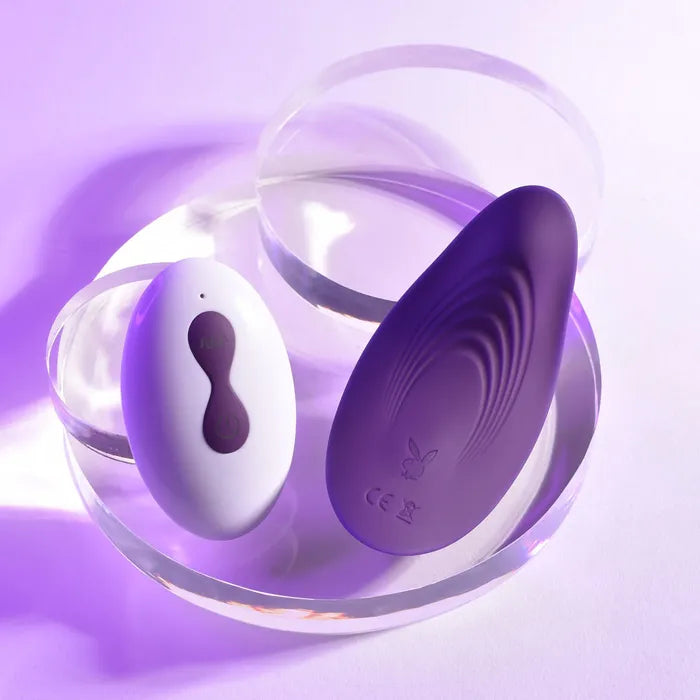 Playboy Pleasure OUR LITTLE SECRET USB Rechargeable Panty Vibrator With Wireless Remote Control Playboy Pleasure