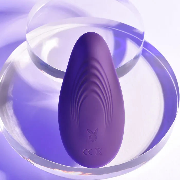 Playboy Pleasure OUR LITTLE SECRET USB Rechargeable Panty Vibrator With Wireless Remote Control Playboy Pleasure