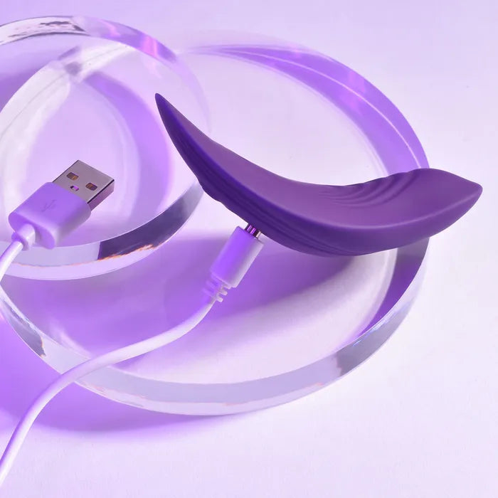 Playboy Pleasure OUR LITTLE SECRET USB Rechargeable Panty Vibrator With Wireless Remote Control Secondary image