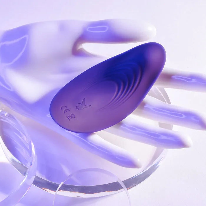 Playboy Pleasure OUR LITTLE SECRET USB Rechargeable Panty Vibrator With Wireless Remote Control Playboy Pleasure