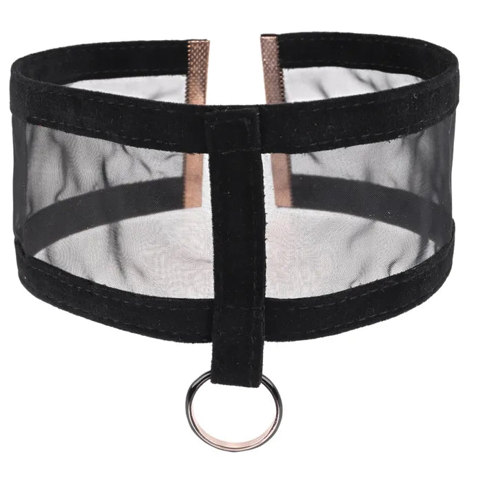 Sportsheets Sex & Mischief Sheer Day Collar Sportsheets