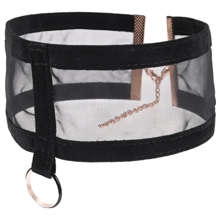 Sportsheets Sex & Mischief Sheer Day Collar Sportsheets