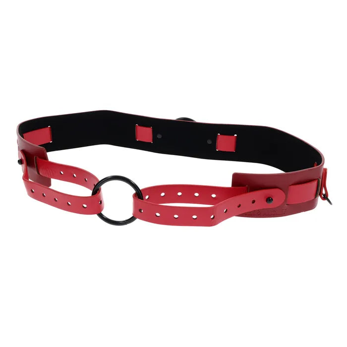 S&M Exs & Ohs Bound and Belted Bondage Collar Sportsheets