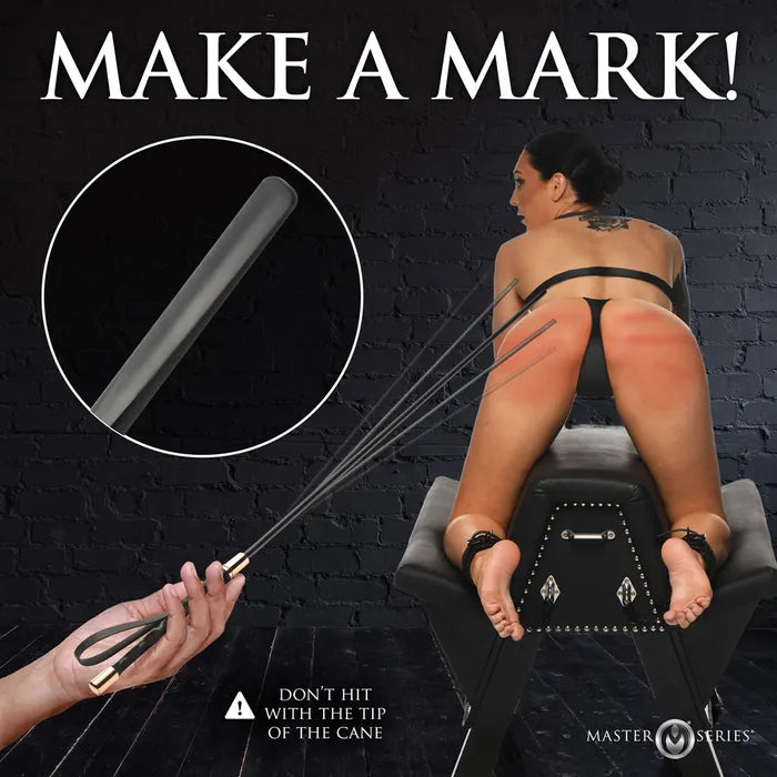 Master Series Sinful Impact Cane Plastic Cane Whip XR Brands